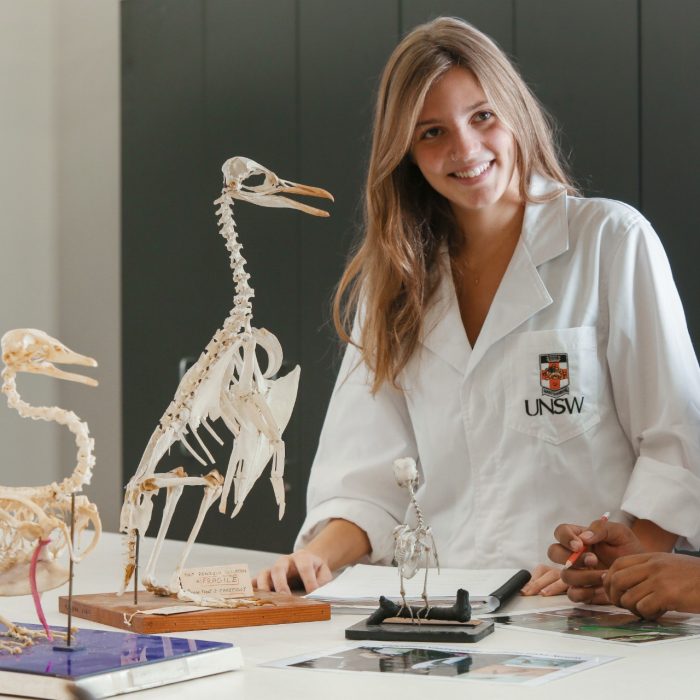 Students studying in BEES laboratory