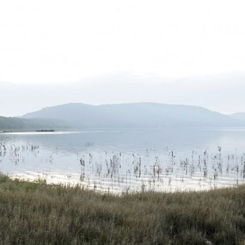 Misty lake with grass in foreground