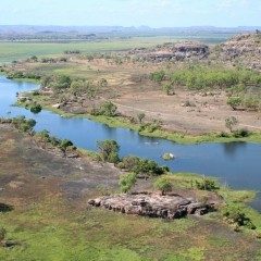 Platypus habitat river