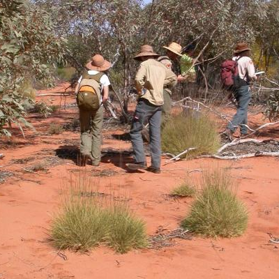 scientists in red desert bush