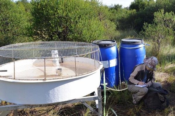 scientist near evaporation pan in the wilderness