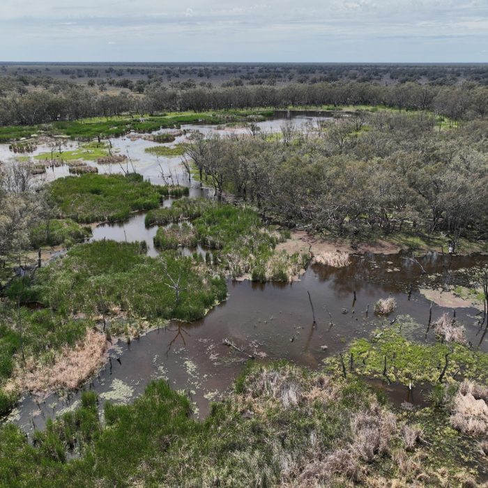 Aerial image of swamp/marshes with some clumps of vegetation and blue sky in the background