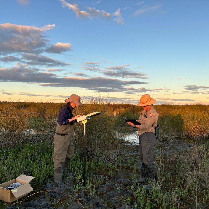 Two people standing in a wetland landscape. Both look down and are inputting into electronic devices.