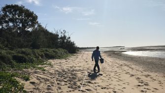 Volunteers scouring the beach at a monitoring event at Yandaran Creek in Bundaberg on Taribelang Bunda, Gooreng Gooreng, Gurang, and Bailai Country