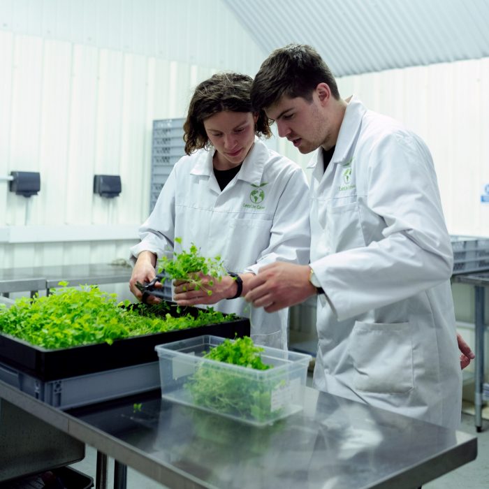 two scientists in lab doing research on plants