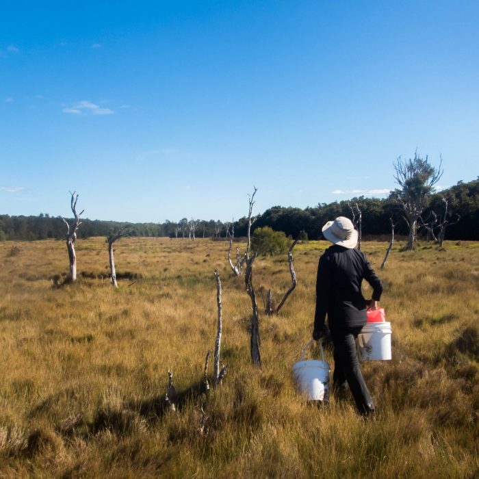 SEACS Lab member walking through tall grass 