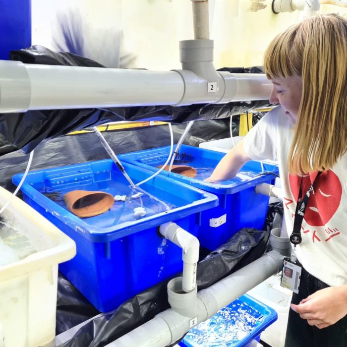 Marine researcher staff learning about marine life