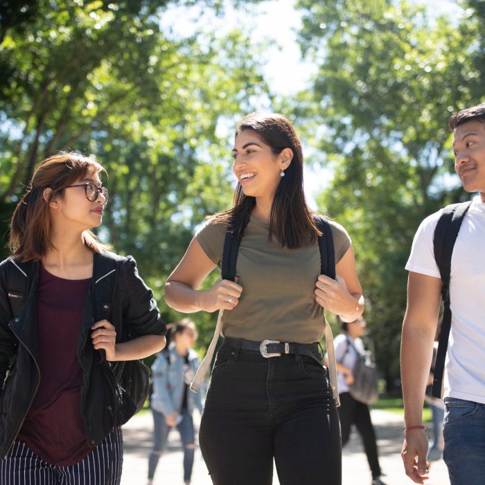 Group of students on campus grounds