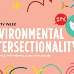 Environmental Intersectionality