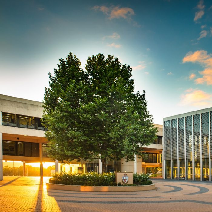 Year One trainee officers at the Australian Defence Force Academy (ADFA) during a 'Functional Circuits' training session at ADFA. Approximately 300 trainee officers are currently undertaking Year One Familiarisation Training (YOFT) at the Academy.

Tree of Knowledge captured in the golden hour morning light.