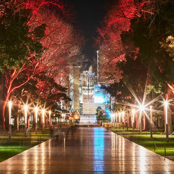 UNSW Kensington campus with coloured lighting to acknowlegde Naidoc week.