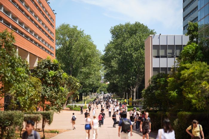 Students on the main walkway at UNSW Kensington.