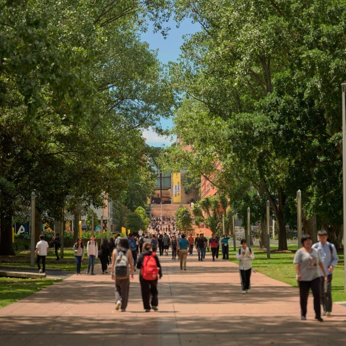 Students on the main walkway at UNSW Kensington.