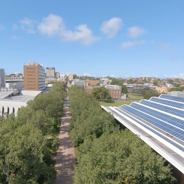 Campus mall walkway aerial shot showing solar panels and green trees lining the main mall