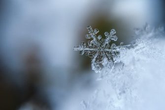 Snowflake macro