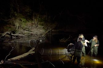 Environment Minister Penny Sharpe, and scientists Tahneal Hawke and Gilad Bino in a boat on the Hacking River