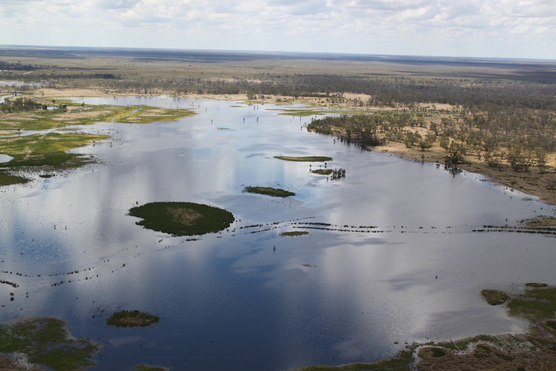 Cumbung Swamp on the Lachlan River