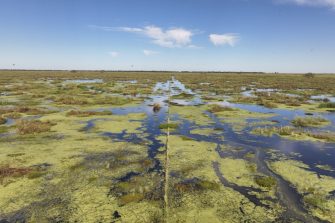 Cumbung Swamp on the Lachlan River