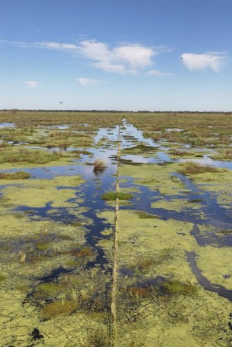 Cumbung Swamp on the Lachlan River