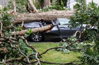 A car gets smashed when a tree falls over during a summer storm.