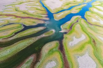 aerial view of the colours of the Gayini Wetlands