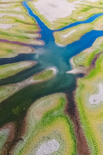 aerial view of the colours of the Gayini Wetlands