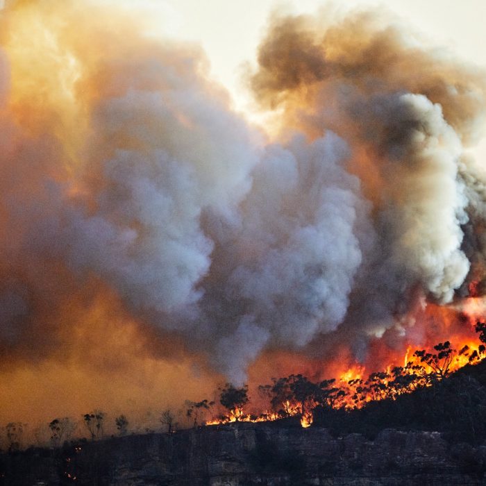 Out of control fire on Narrow Neck Plateau, Katoomba, Blue Mountains, Australia. Climate change is causing extreme weather, prolonged droughts and increasing bushfires