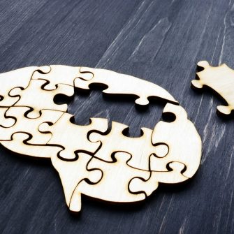 Brain from wooden puzzles. Mental Health and problems with memory.