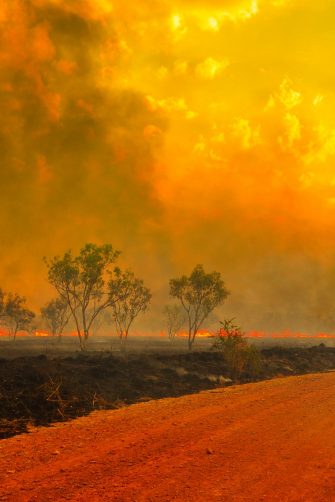 Bush fire in Kimberley, Australia.