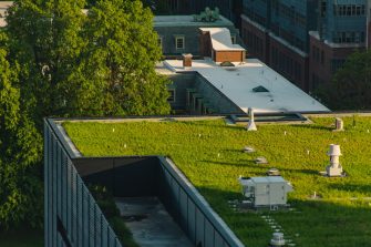 Green rooftops