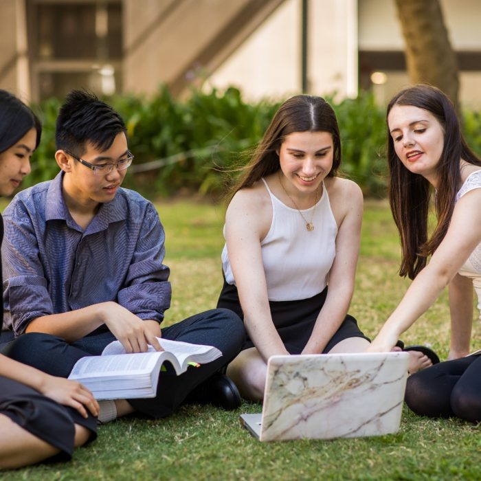 Students studying in a group on the grass