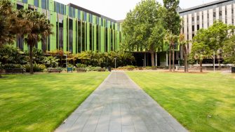 The Michael Birt lawn in front of the Wallace Wurth and Biological Sciences buildings