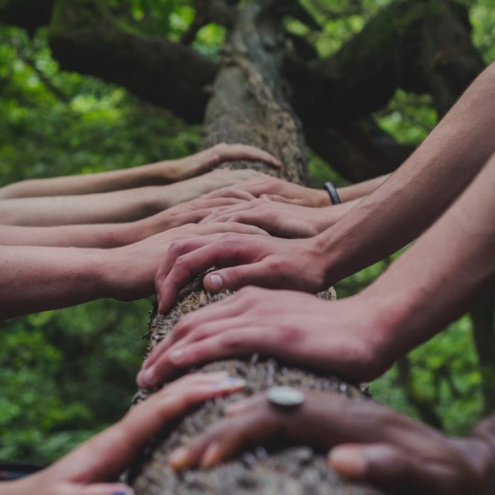 Hands on tree branch