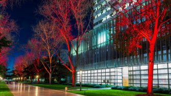 University of New South Wales celebrates indigenous Australians week (NAIDOC) by lighting up University Mall with vibrant colors.