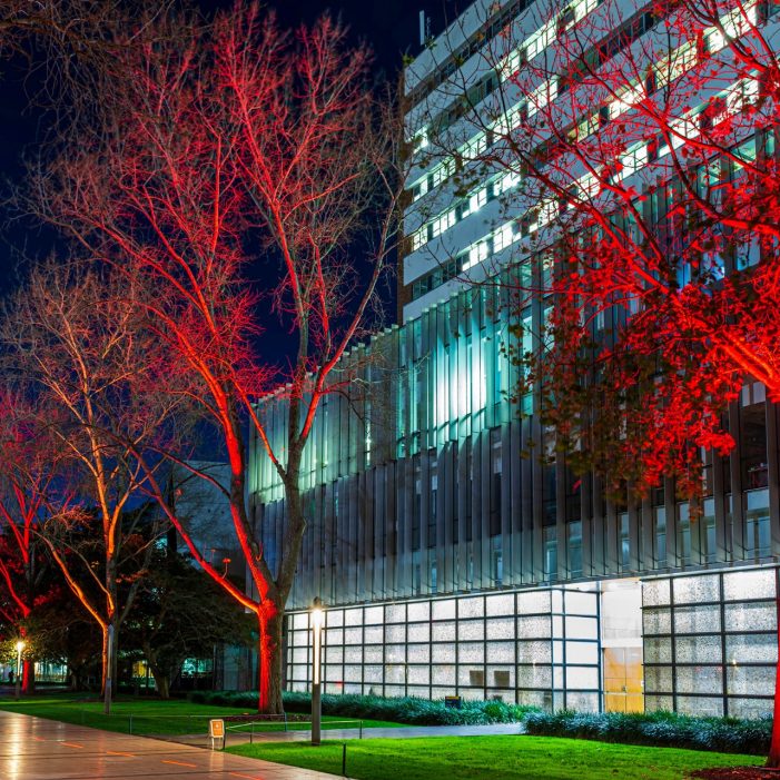 University of New South Wales celebrates indigenous Australians week (NAIDOC) by lighting up University Mall with vibrant colors.