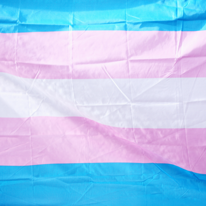 Flag that empowers Transgender communities 