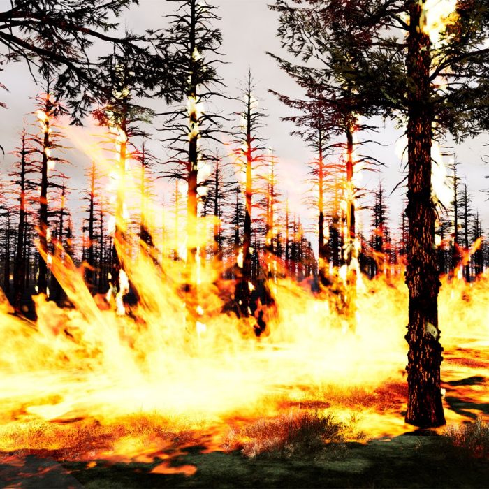 Forest fire simulation image with trees and flames