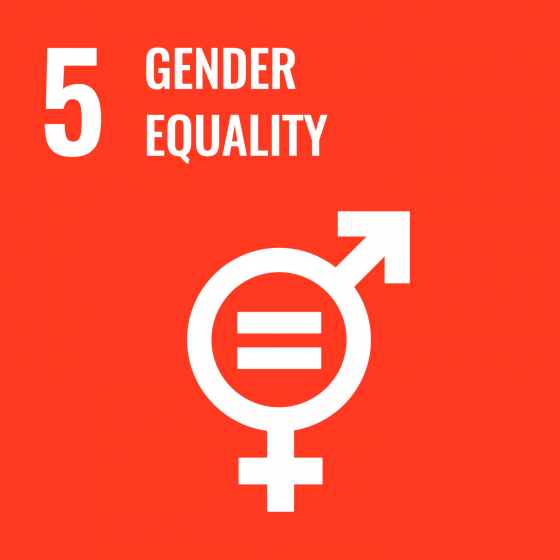 05 Gender equality icon