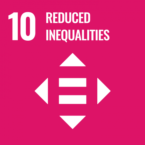 10 Reduced inequalities icon