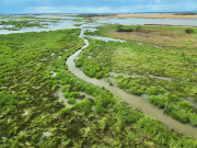 Photo of Gingham Watercourse