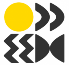 UNSW IDG logo