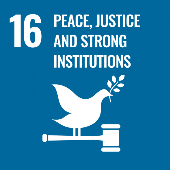 16 Peace, Justice and Strong Institutions icon