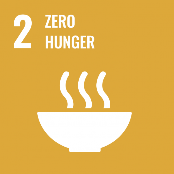 02 Zero hunger icon
