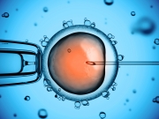 Photo of egg sperm