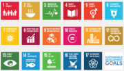 Layout of all UN SDG modules
