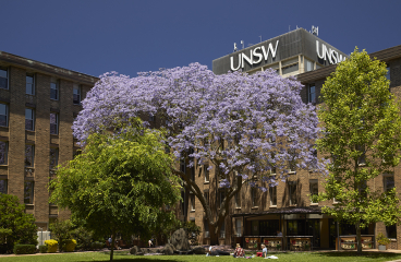 Photo of jacaranda trees at UNSW in spring