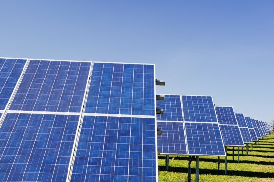 Photo of many solar panels in a field