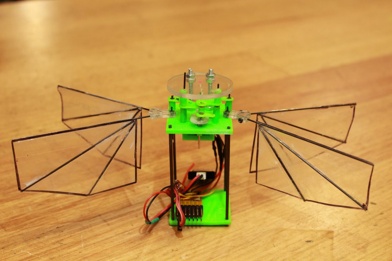 Design of a miniature drone with an insect wing