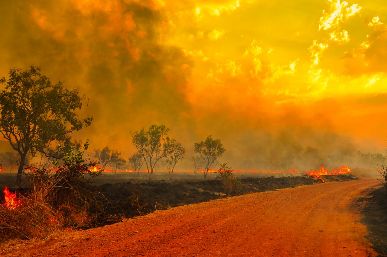 Bush fire in Kimberley, Australia.