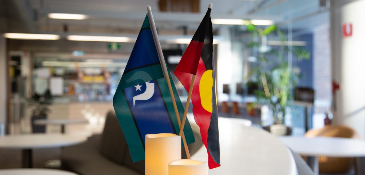 aboriginal and torres strait islands flags at unsw